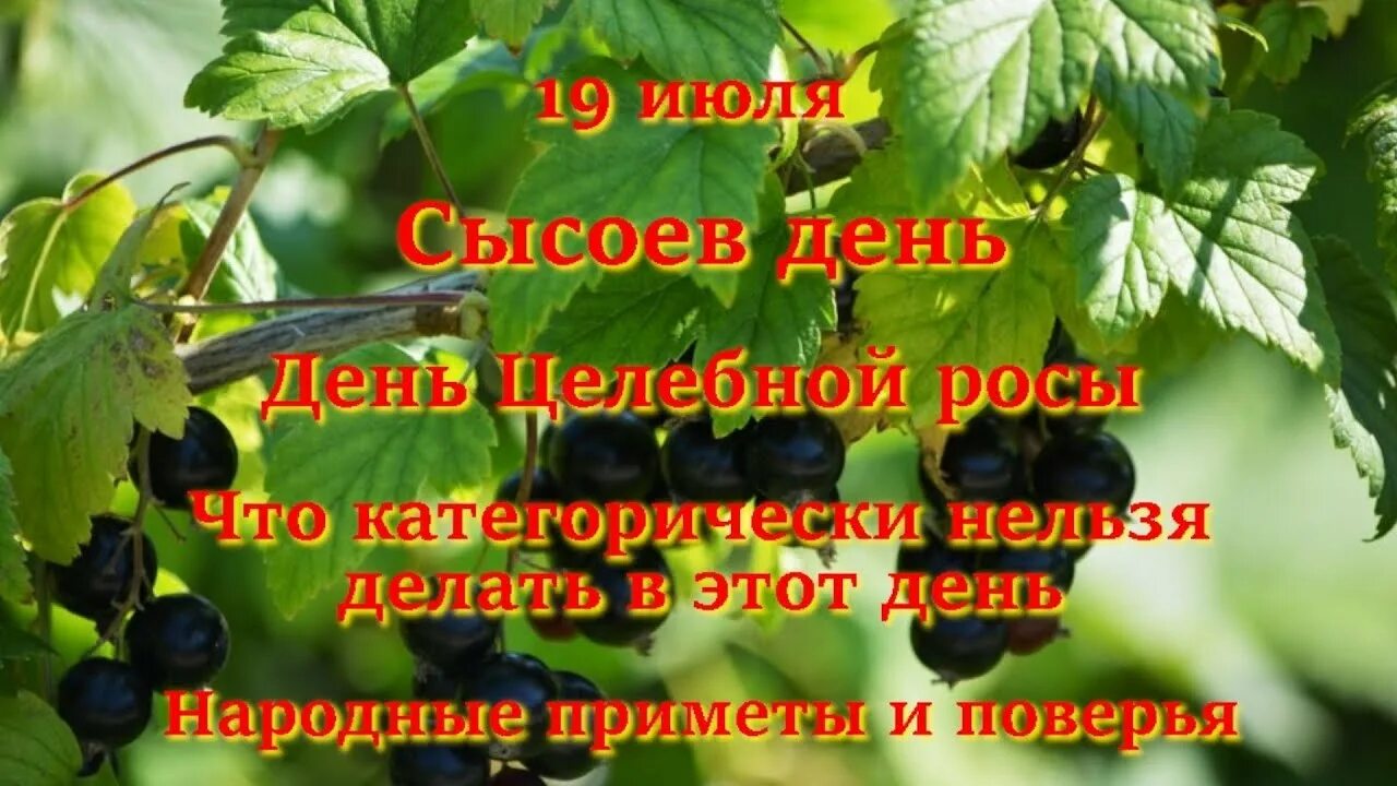19 июля дата. Сысоев день 19 июля. сысоев день (народный праздник).. сысоев день 19 июля приметы. сысоев день и день лечебной росы.