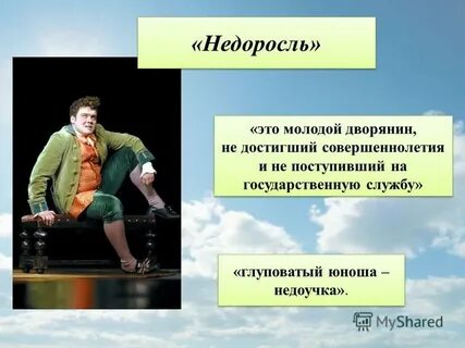 Какова роль положительных персонажей в недоросле