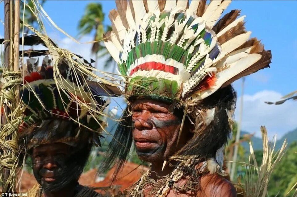 Папуана новая Гвинея. Папуа новая Гвинея народ. Папуа меланезийцы. Меланезийцы новая Гвинея. Народы новой гвинеи