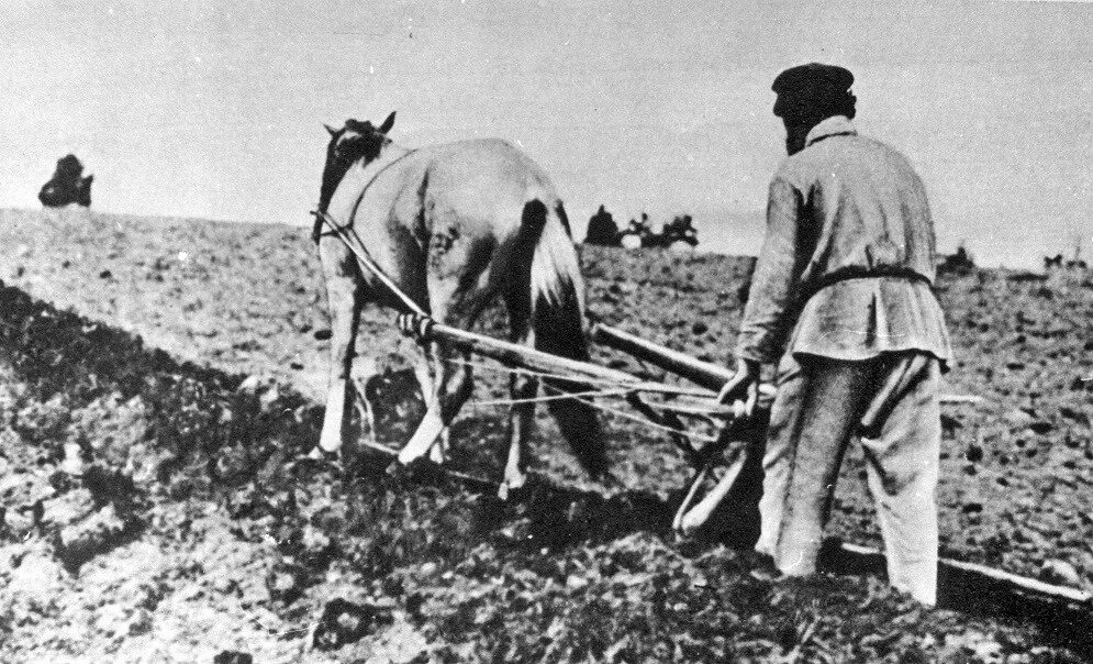 Земледелец получает 700 г бурого