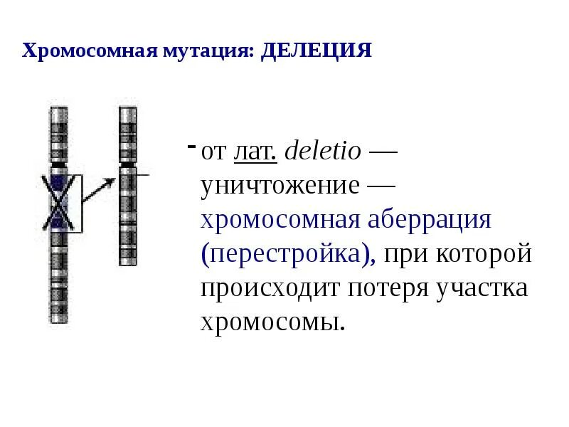 Хромосомные мутации методы генетики. Делеция генетика. Делеции хромосомных мутаций. Делеция хромосомы. Делеция хромосомы мутация.