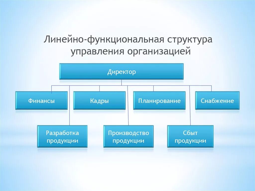 Функциональный состав организации. Организационная структура компании линейно-функциональная. Линейно-функциональная структура ДНС. Линейная структура управления. Функциональная структура управления. Линейно функционирования организационная структура.