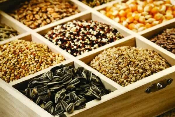 Семена коробочки. Хранение семян. Хранение семян зимой. Хранение семян зимой. Пшеница в мешках.