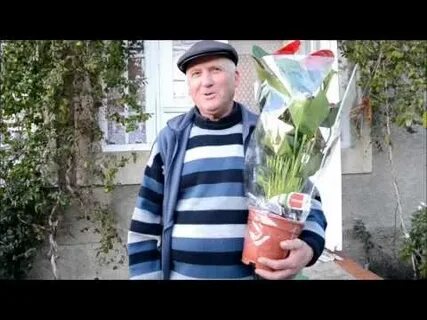 Погода в колибабовке