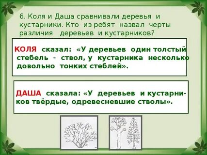 Выберите кустарники