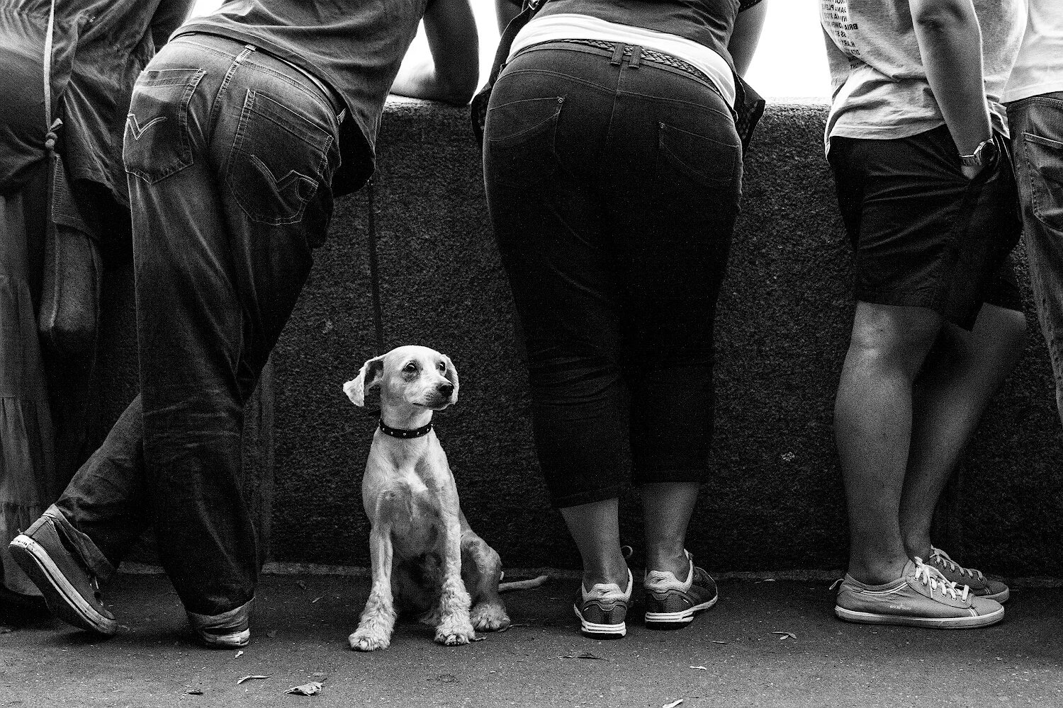 Белый про друзей. Черно белые уличные фотографии. Интересные черно белые фото. Уличные фотографы Россия. Уличная фотография Россия.