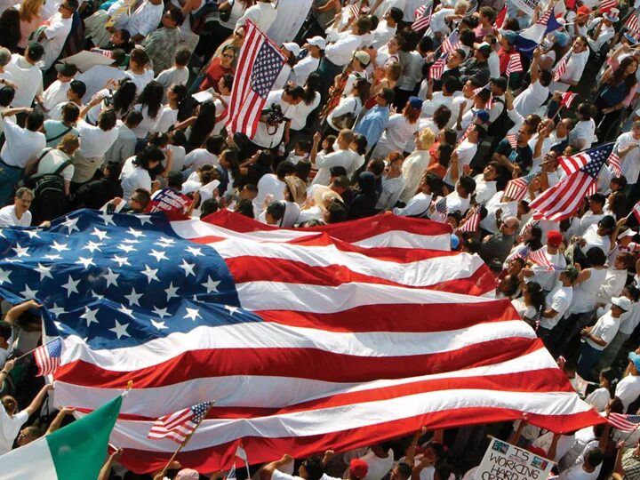 Полярная медведица с медвежонком. Гербера садовая белая. Полярный медведь. Белый медведь. Индивидуальность в толпе.