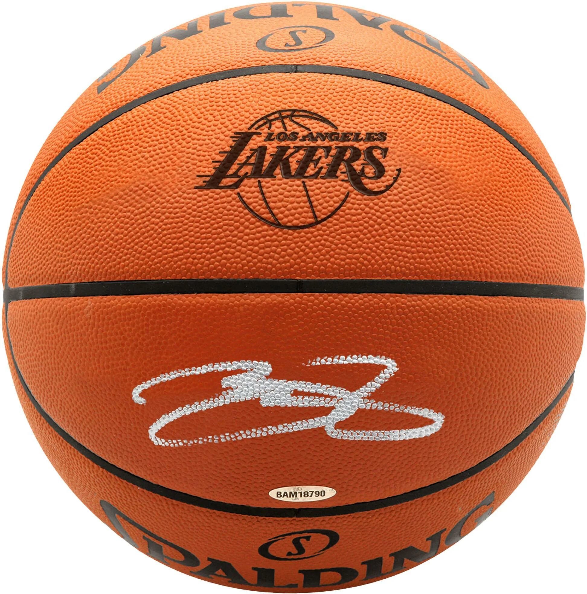 Спортивные магазины баскетбольные мячи. Баскетбольный мяч los Angeles Lakers. Баскетбольный мяч Леброн. Автограф Леброна.