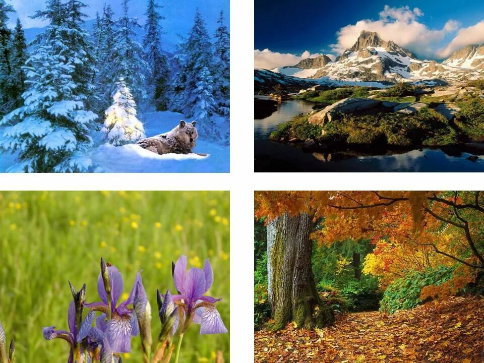 Картинки времена года. Природа зимой и летом. Пейзаж зимой и летом. Природа и времена года. Зима,Весна,лето,осень.