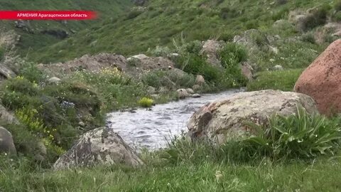 Ручей течет вверх