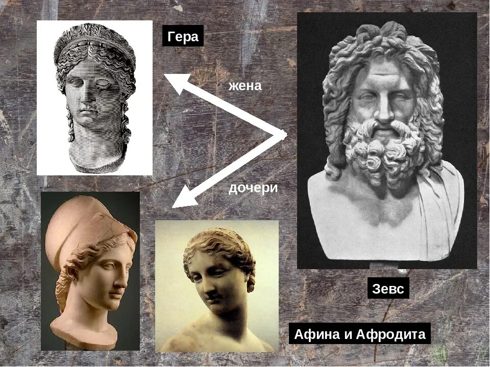 Зевс и афродита. Дочь зевса. Андреа аппиани. Афродита дочь зевса. Богиня рея в греческой мифологии.