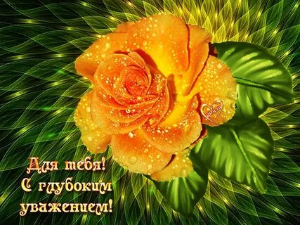 С большим уважением и любовью