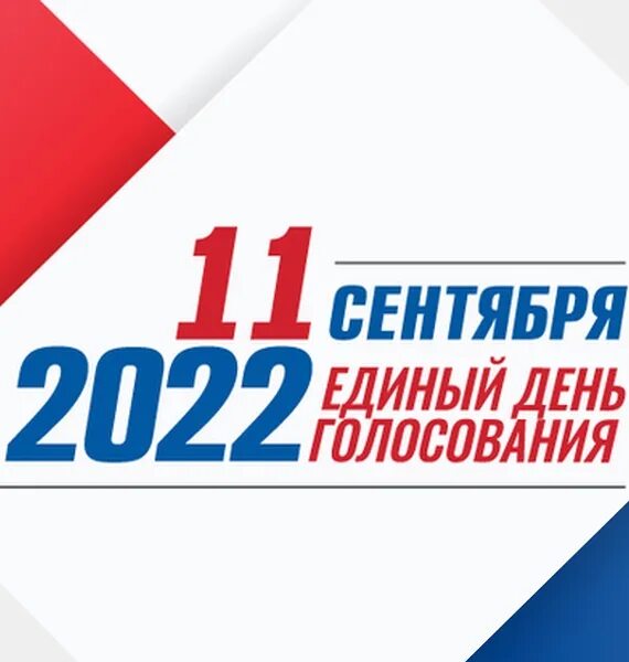 Выборы 2022. Выборы 11 сентября.