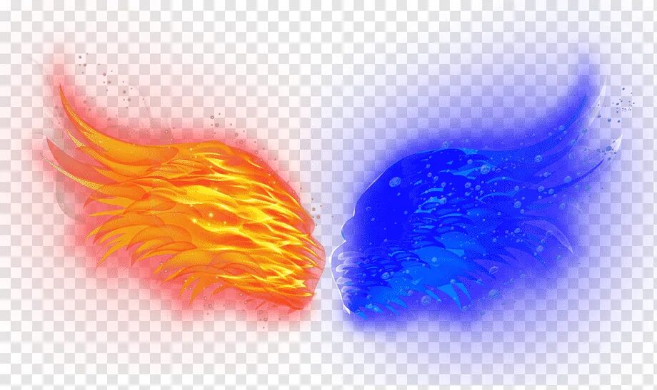 Огонь. Космическая девушка. Ношин феникс. Феникс восставший из пепла. Феи огня и воды.