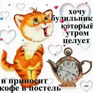 С добрым утром позитивные. Шуточные картинки с добрым утром мужчине прикольные. С добрым утром прикол. Шуточные картинки с добрым утром мужчине прикольные. Шуточные картинки с добрым утром мужчине прикольные.