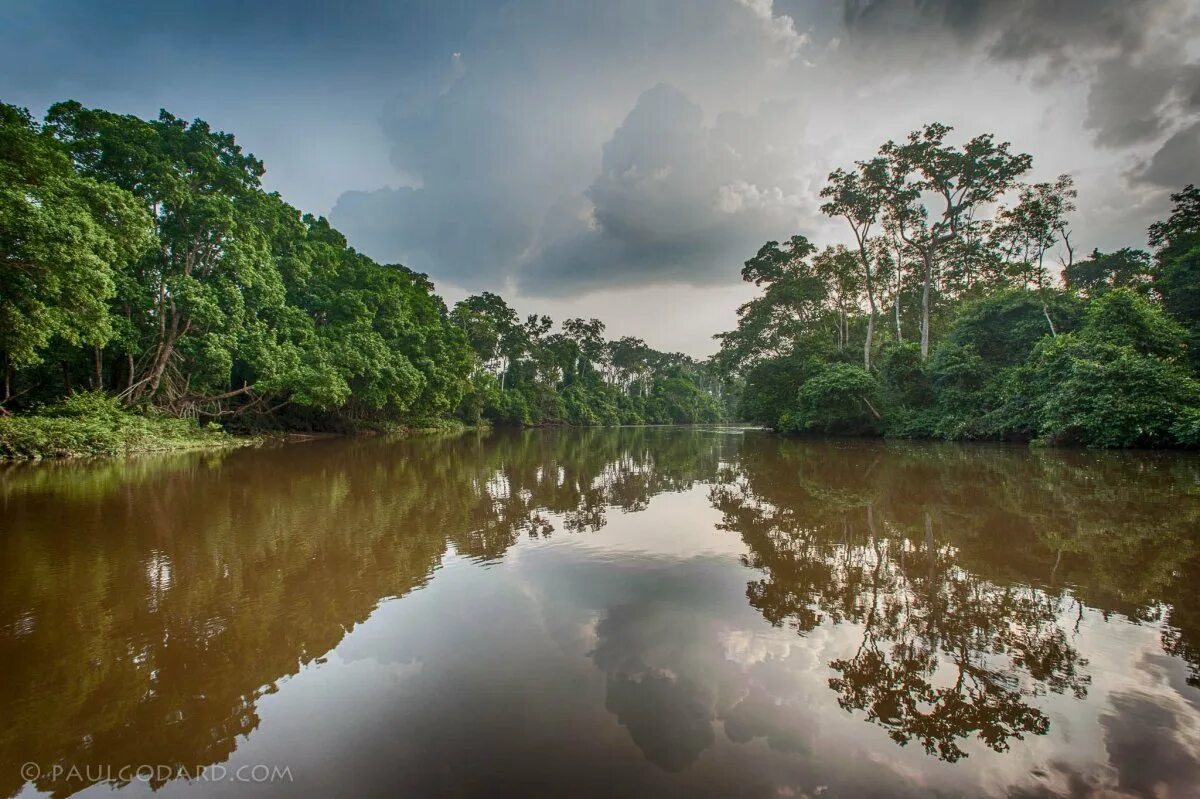 Долина реки конго. Река конго в африке. Национальный парк салонга в африке. Долина реки конго. Река конго.