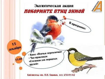 Покормите птиц зимой 2024