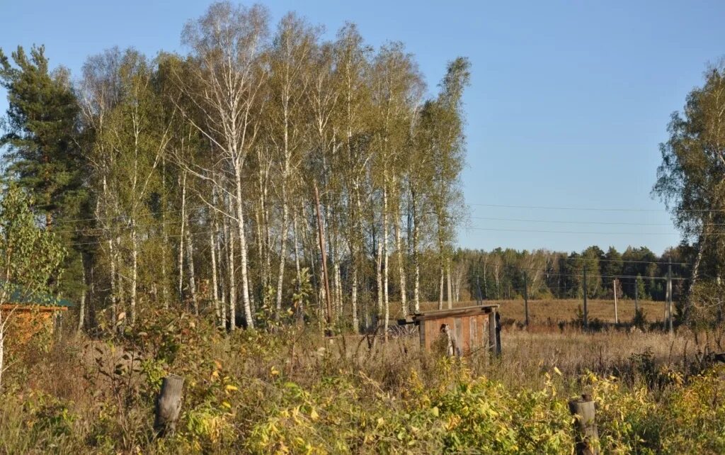 государственный кадастровый учет лесных участков. земельный участок. лесным участком является земельный участок. участок на землях лесного фонда. изумрудная долина коттеджный поселок тульская область.