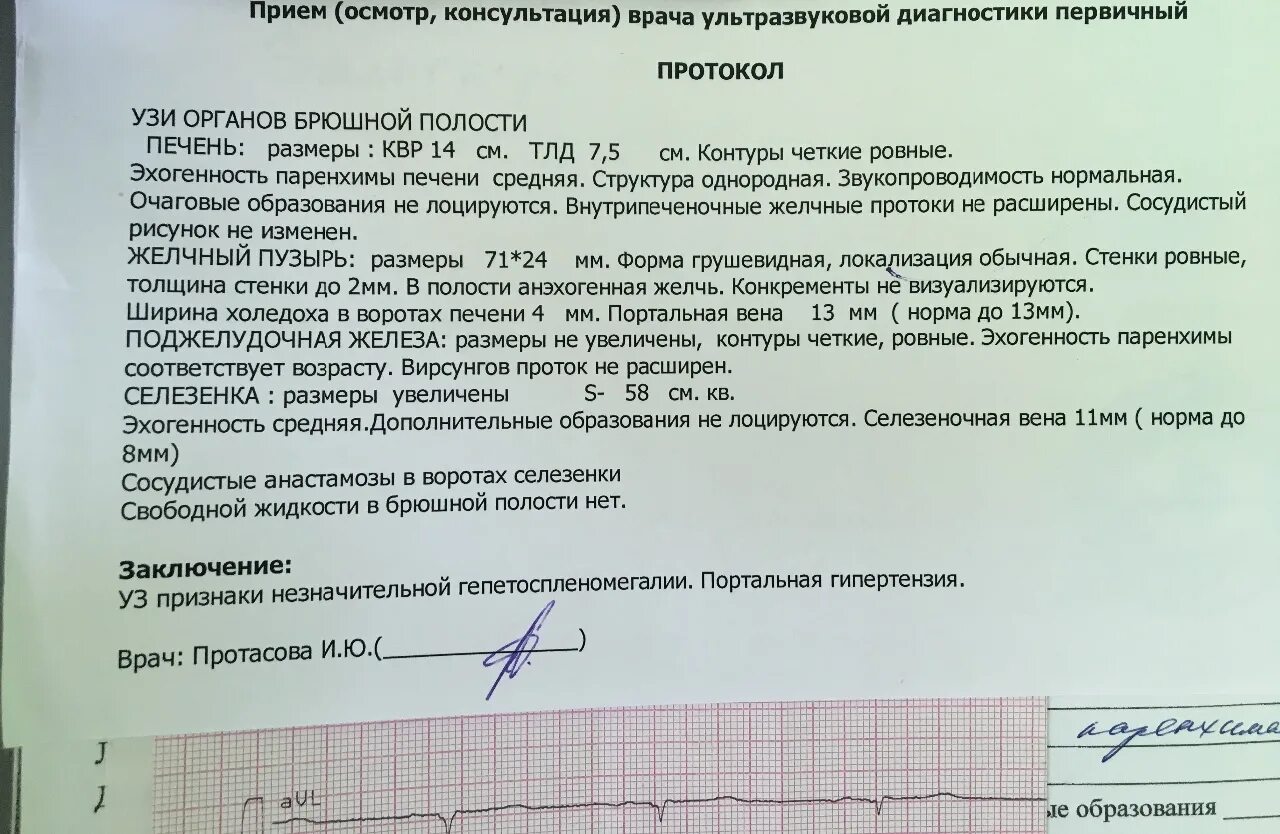 Размеры печени по узи норма