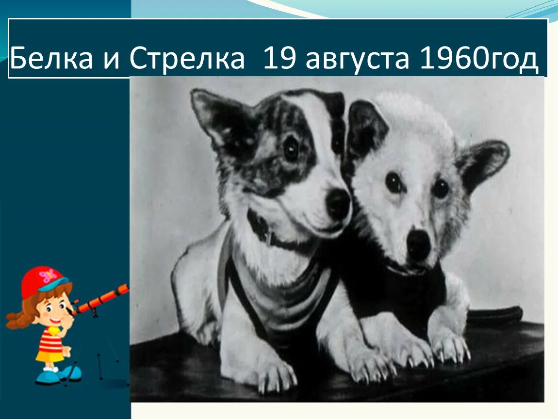 19 августа 1960. Белка и стрелка 19 августа 1960 года. 19 Августа 1960 белка и стрелка. 19 Августа 1960 старт.