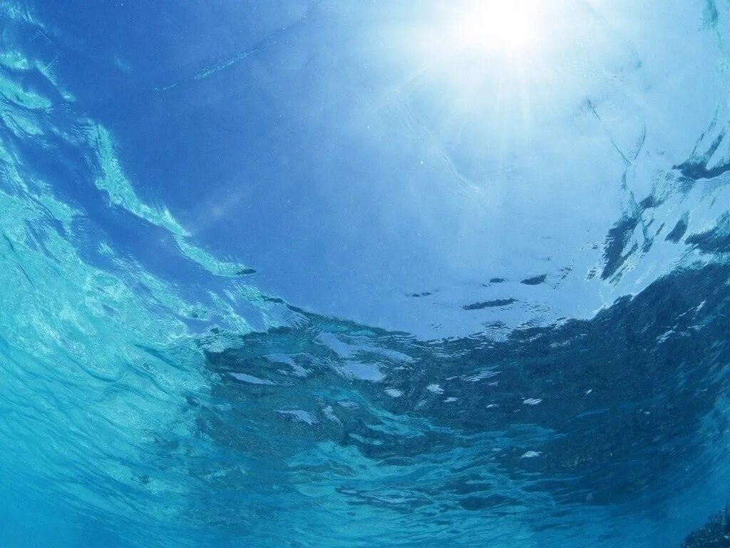 Дно океана. Под водой. Океан внутри. В глубь моря. Ода воде.