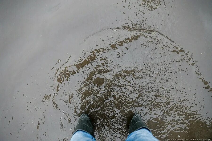 Приснилась мутная вода. Калининград вода грязная. К чему снится грязная вода. Новгородская вода грязная. К чему снится мутная вода.