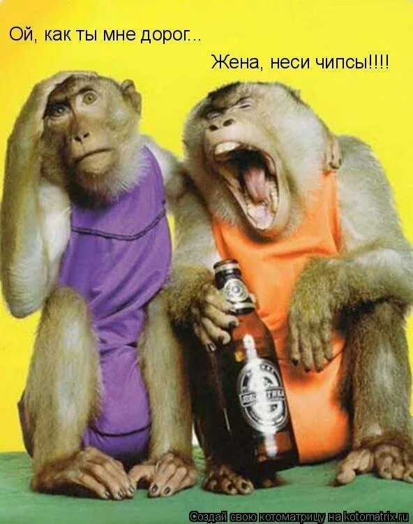 Песня про пятницу надо напиться