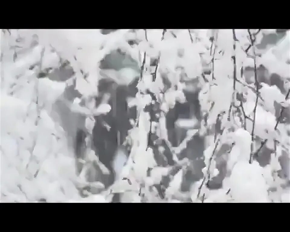 Видео песня падаю. Снег кружит и кружит. А снег кружил и падал. А снег незнал и падал.