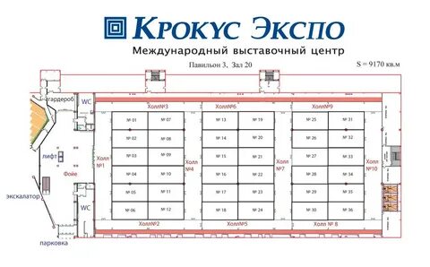 План крокуса