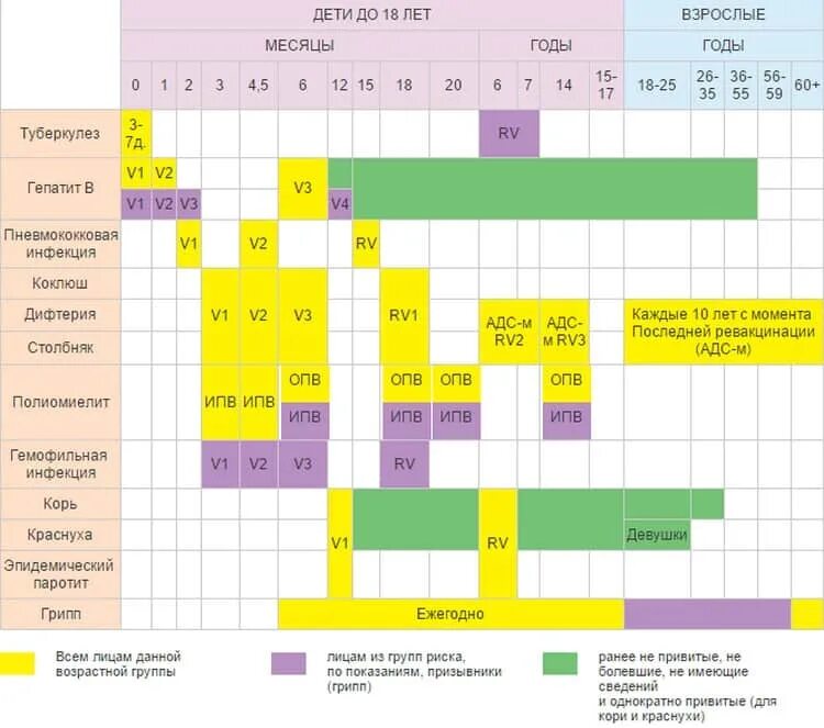 Коклюш календарь. Нац календарь прививок РФ. Национальный календарь прививок 2021. Вакцинация национальный календарь прививок 2021. Национальный календарь проф прививок 2021 год.