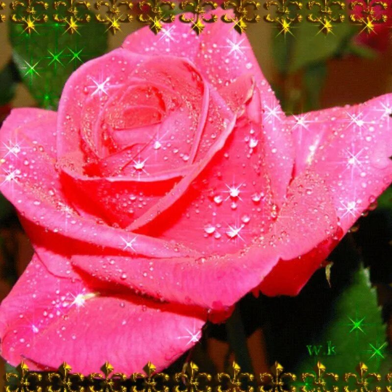 Мерцающие цветы. Мерцающие цветы для красотки. Красивые цветы мерцающие бесплатные. Мерцающие цветы. Красивые цветы мерцающие бесплатные.