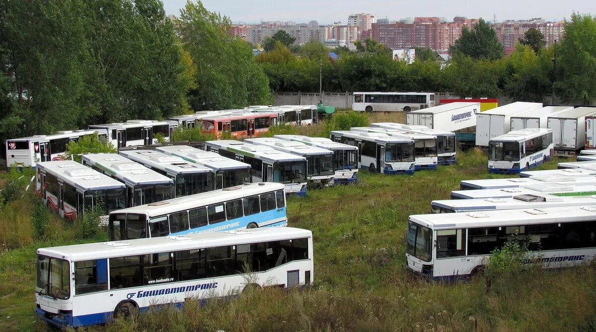 Парковка общественного транспорта. Списанные автобусы ЛИАЗ. Икарус Башавтотранс. Автобус ЛИАЗ Уфа. Башавтотранс УПАТП 6.