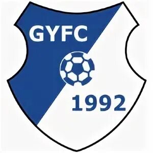 Fc 2 4 отзывы