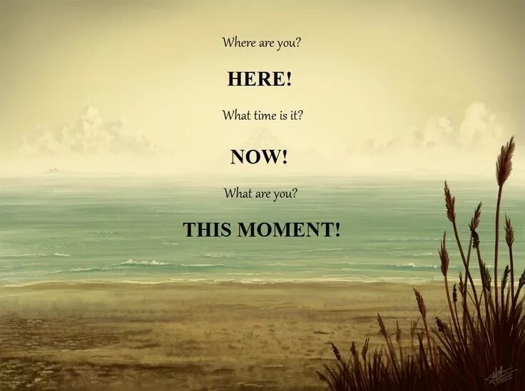 Take you where. Where to go. Great things take time. Where картинка. The power of stepping away.