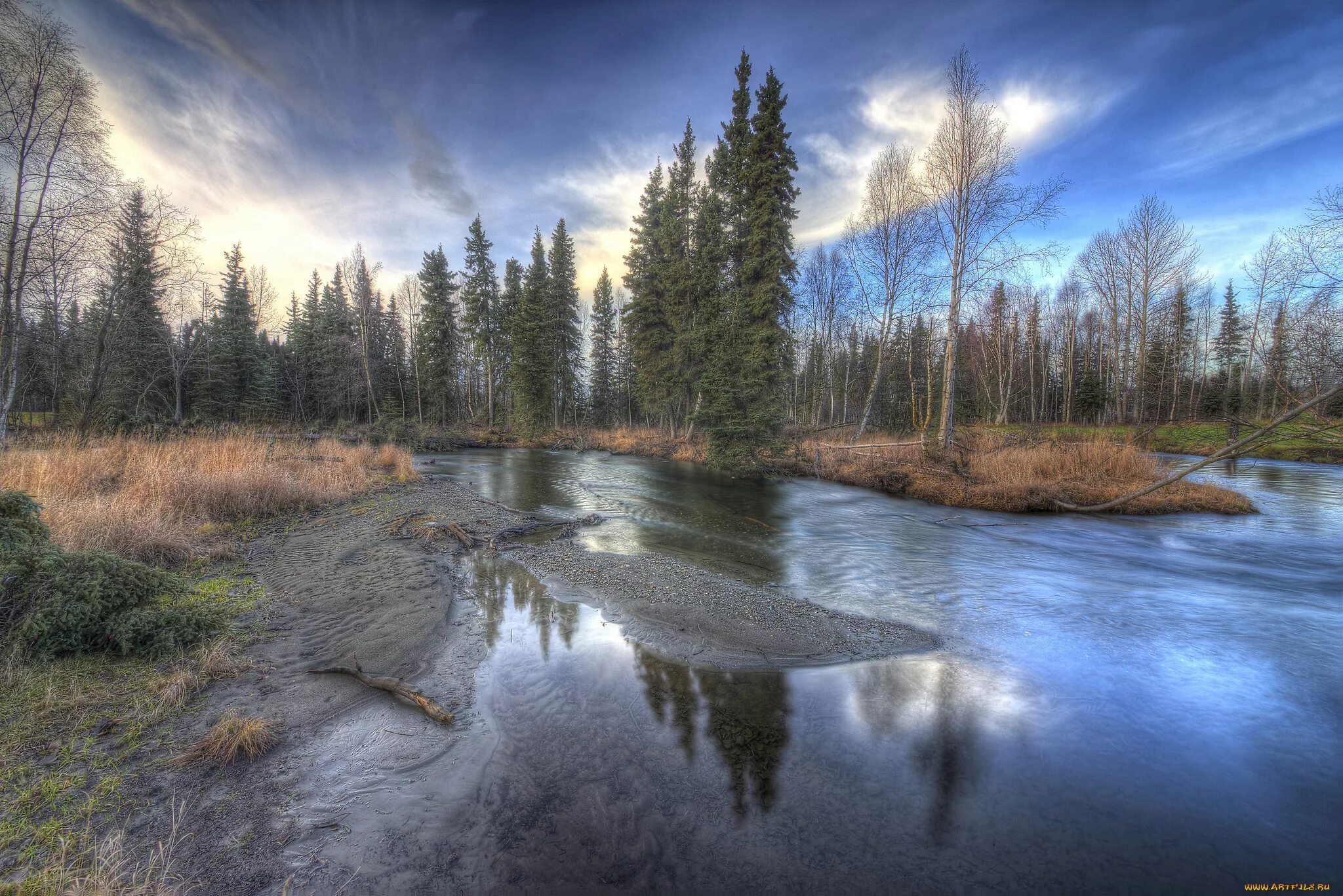 Некрасовское река солоница. Леса озера онтарио. Лесное озеро клинцы. Лес да река балаково. Круг лес да река.
