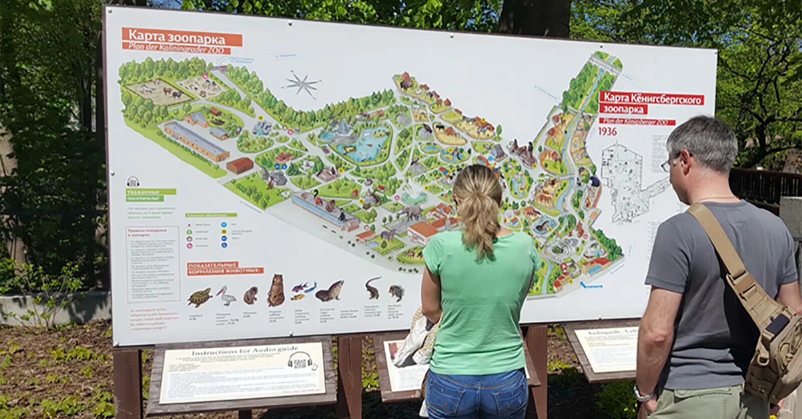 Зоопарк калининград маршрут. Зоопарк калининград схема. Карта зоопарка калининград. Калининградский зоопарк калининград карта. Калининградский зоопарк схема.