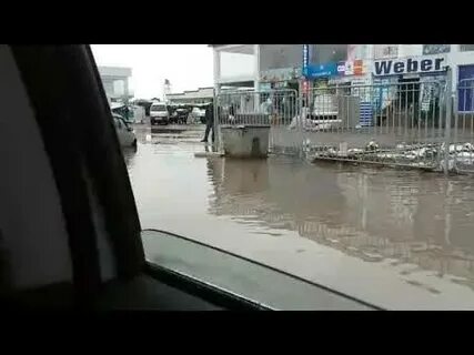 Прогноз шурчи
