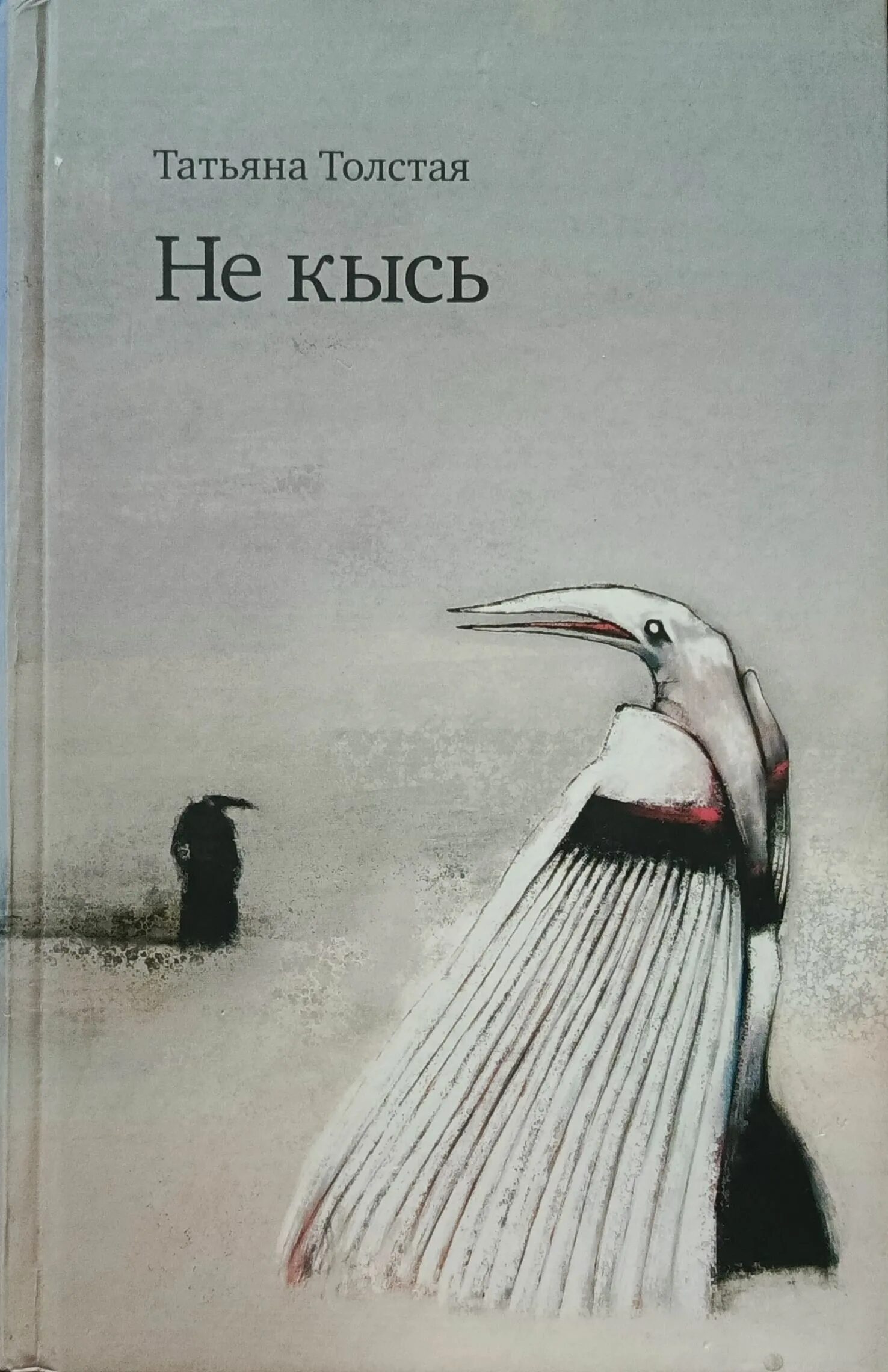 Т толстая кысь. Иллюстрации к роману Кысь.