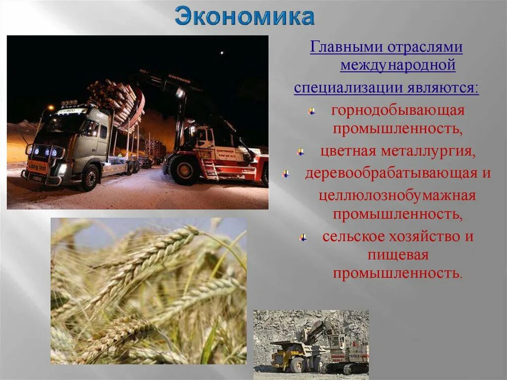 Зерновое хозяйство является отраслью международной специализации. Горнодобывающая промышленность отрасль международной специализации. отрасли международной специализации. сельское хозяйство и горнодобывающая промышленность. основные отрасли международной специализации.