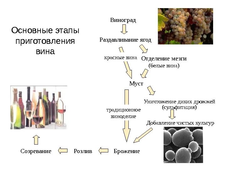 Схема производства виноградных вин. Схема основных типов брожения. Схема производства вина. Основные этапы приготовления вина. Производство виноградного вина