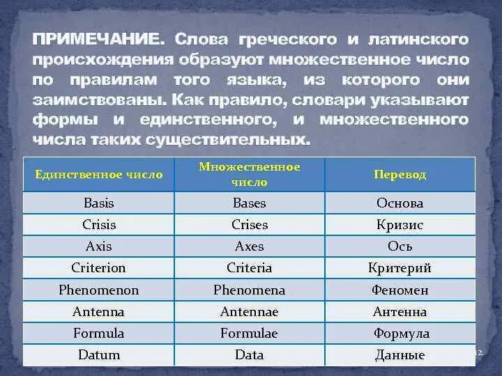 Латинские слова во множественном числе. Существительные во множественном числе латинский язык. Латинский множественное число существительных. Множественное число в английском.