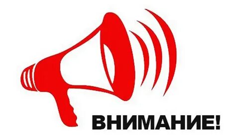 Сирена внимание всем слушать