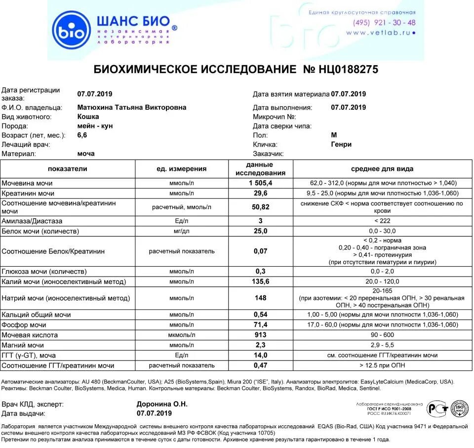 Показатели анализа мочи кота норма. Норма анализа мочи у кошек норма. Соотношение мочевина/креатинин показатели нормы. Нормы показателей в анализе мочи кошек. Зачем анализ креатинина