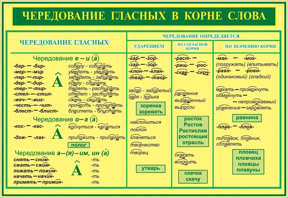 Укажите корни с чередующимися гласными