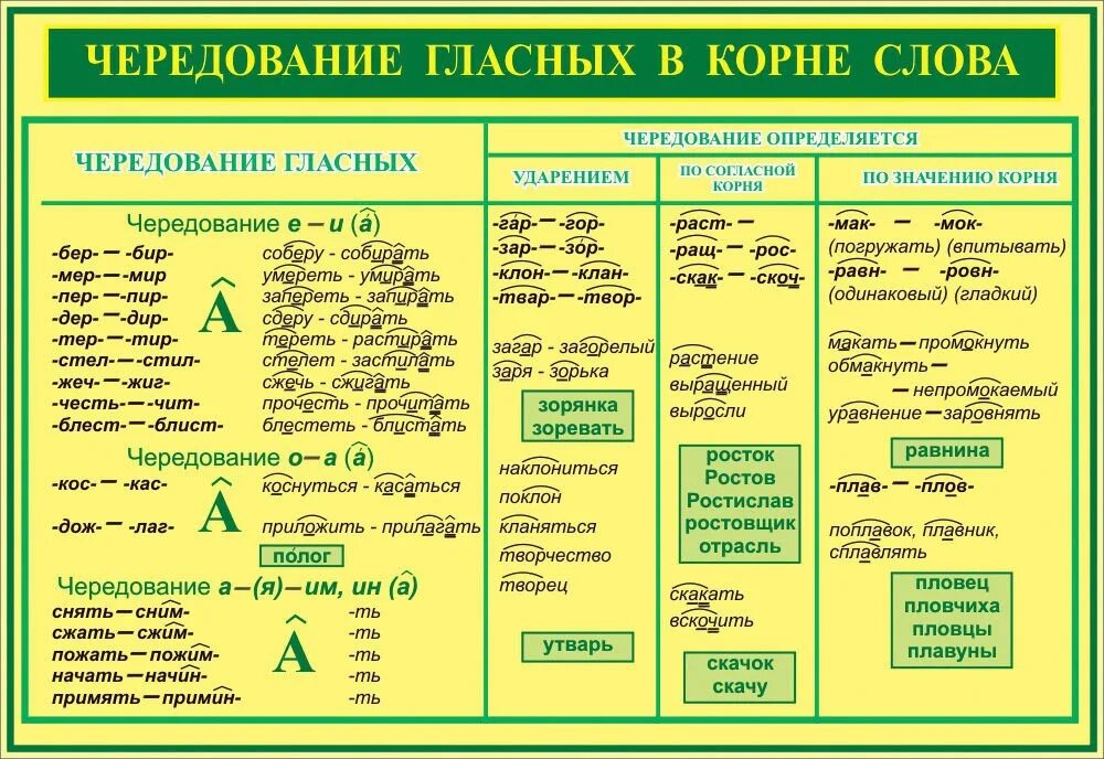 Надо чередовать. Правописание гласных в корне с чередованием таблица. Корни с чередованием гласных таблица с примерами. Чередование гласных в корне таблица.