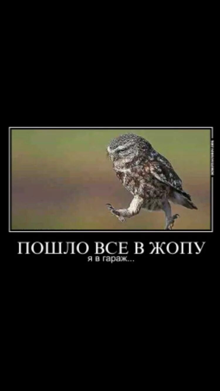 Пошло оно всё. Пошло оно все к черту. Да пошло оно все к черту. Пошло все на х. Пошло все на х.