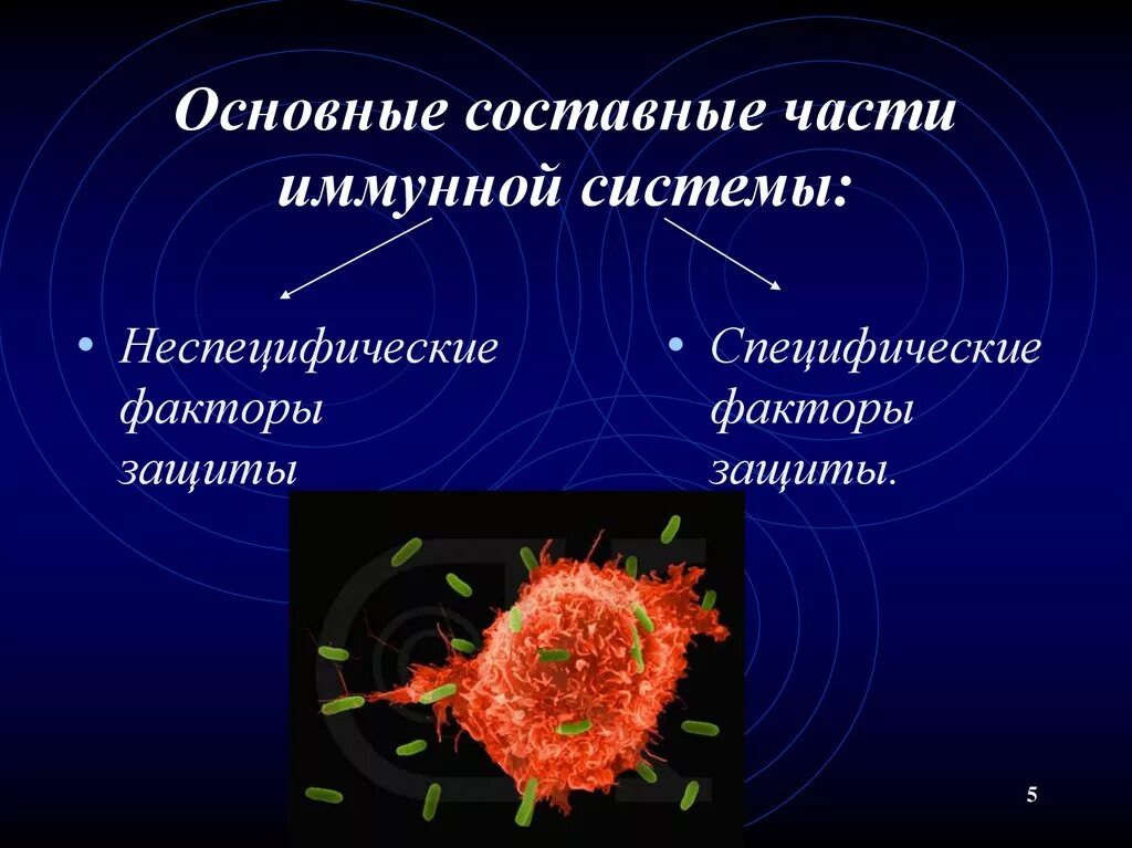 Факторы иммунной защиты. Специфические и неспецифические факторы защиты. Специфические и неспецифические факторы защиты организма. Специфические факторы защиты иммунитета. Неспецифические иммунные факторы