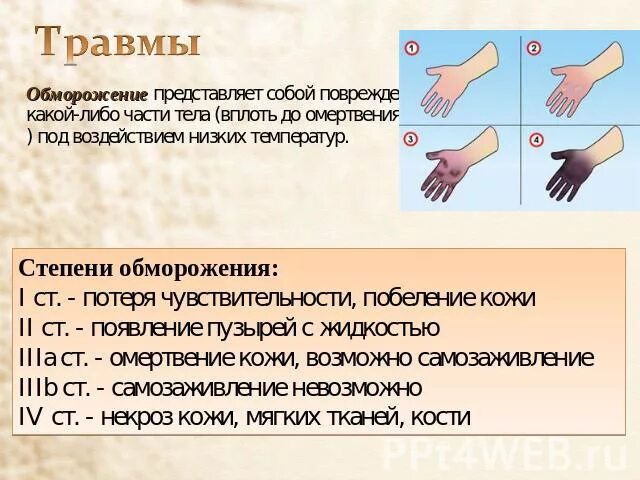 Ожоги и обморожения сообщение