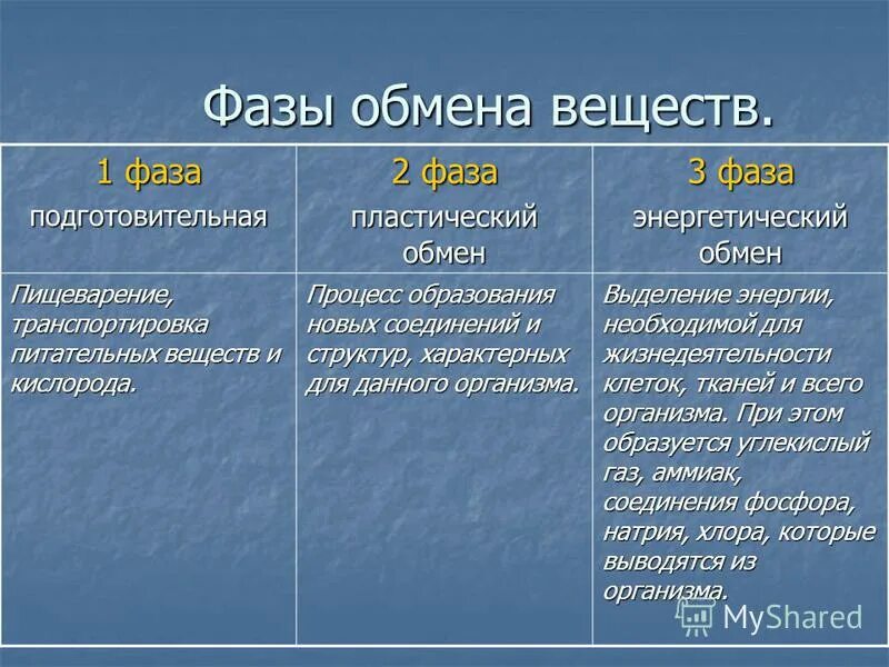 Виды познания. Типы познания. Виды познания таблица. Виды познания примеры.