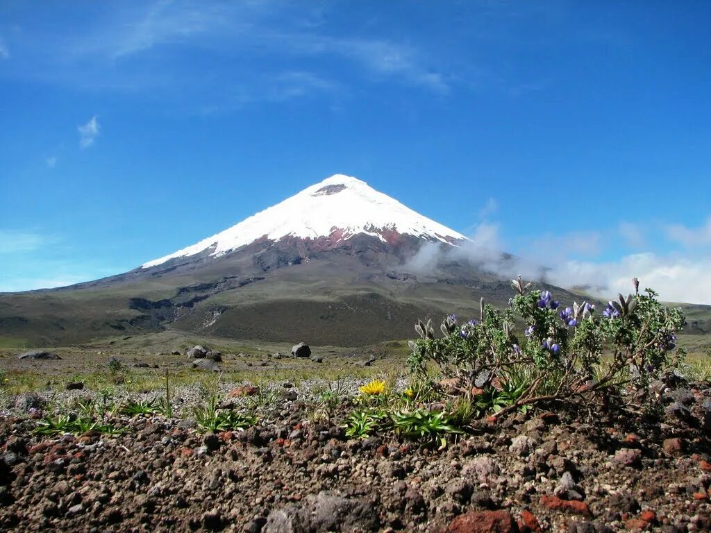 На каком материке находится вулкан котопахи. Вулкан Котопахи. Котопахи, Эквадор. Кито вулкан Котопахи. Южная Америка вулкан Котопахи.